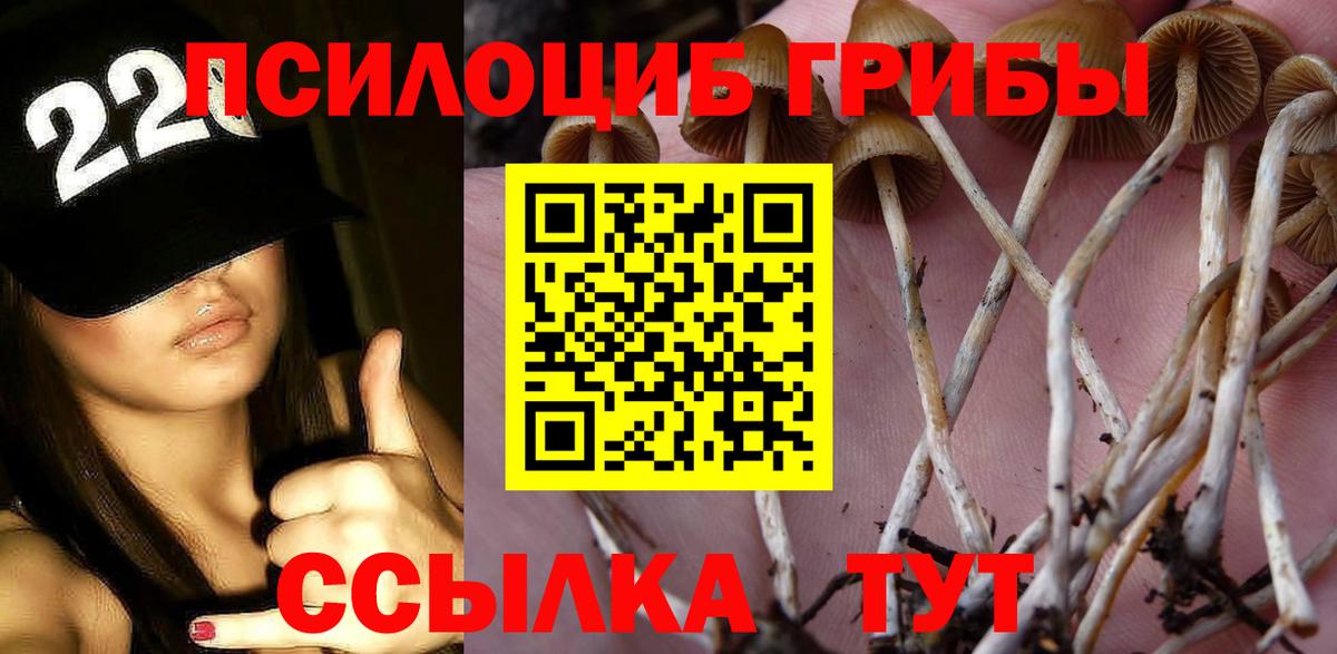купить наркоту  Вход с VPN  Галлюциногенные грибы ЛСД  Мичуринск  Псилоцибиновые грибы Psilocybine cubensis 