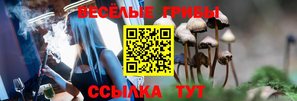 Галлюциногенные грибы мухоморы Мичуринск